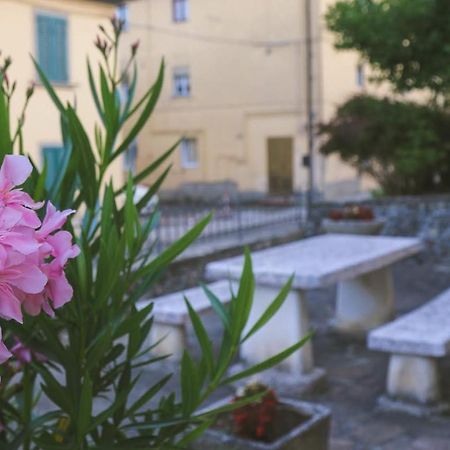 Casa Con Giardino In Mugello A 30 Minuti Da Firenze "Soleluna" Osteria di Novoli エクステリア 写真