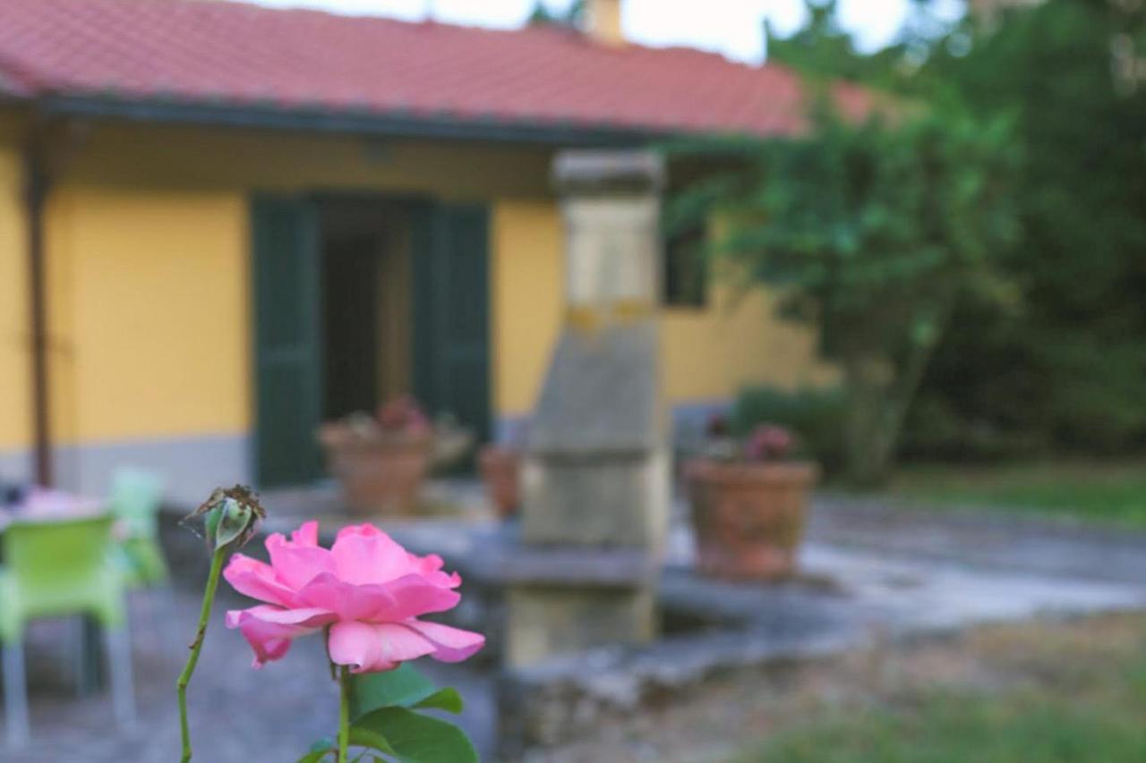 Casa Con Giardino In Mugello A 30 Minuti Da Firenze "Soleluna" Osteria di Novoli エクステリア 写真